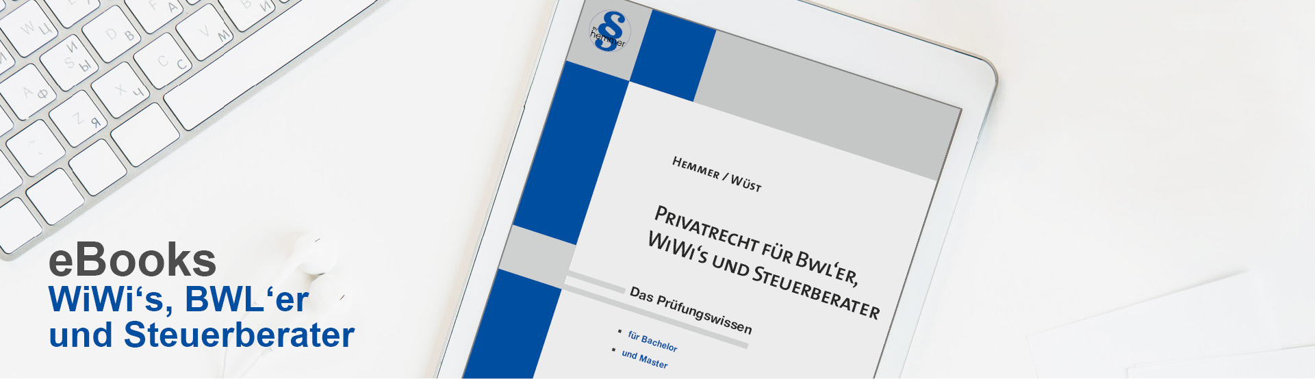 hemmer für WiWis BWLer und Steuerberater