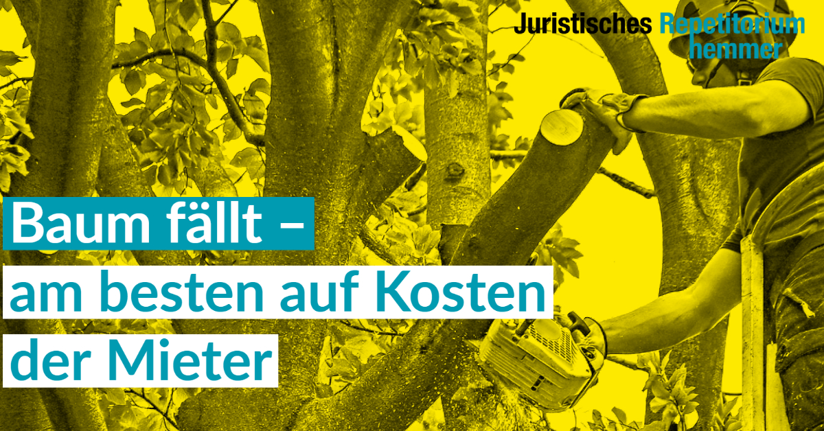 Baum fällt – am besten auf Kosten der Mieter