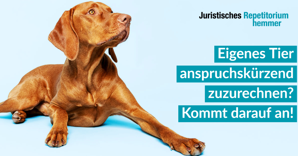 Eigenes Tier anspruchskürzend zuzurechnen? Kommt darauf an!