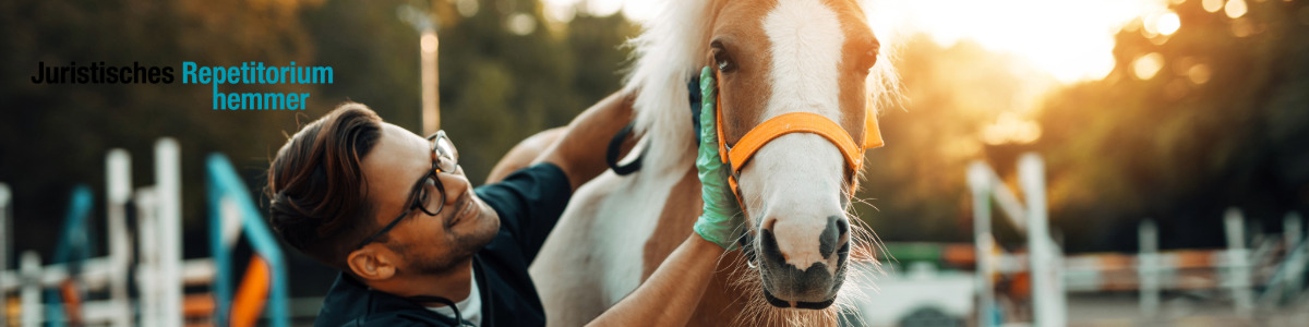Falsche Befruchtung einer Stute: auch entgangener Gewinn braucht Tatsachen