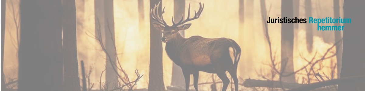 Brandstiftung durch Inbrandsetzen eines Waldes