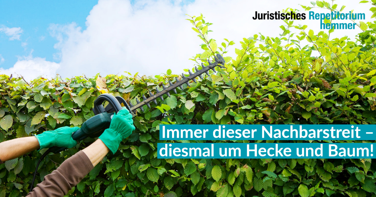 Immer dieser Nachbarstreit – diesmal um Hecke und Baum!