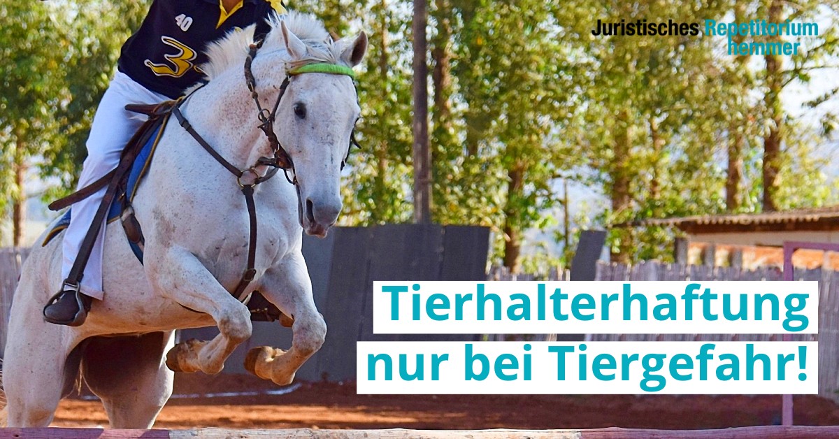 Tierhalterhaftung nur bei Tiergefahr