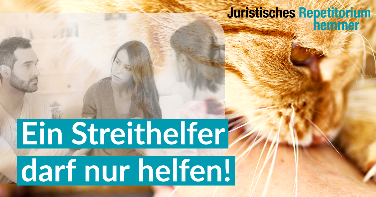 Ein Streithelfer darf nur helfen!